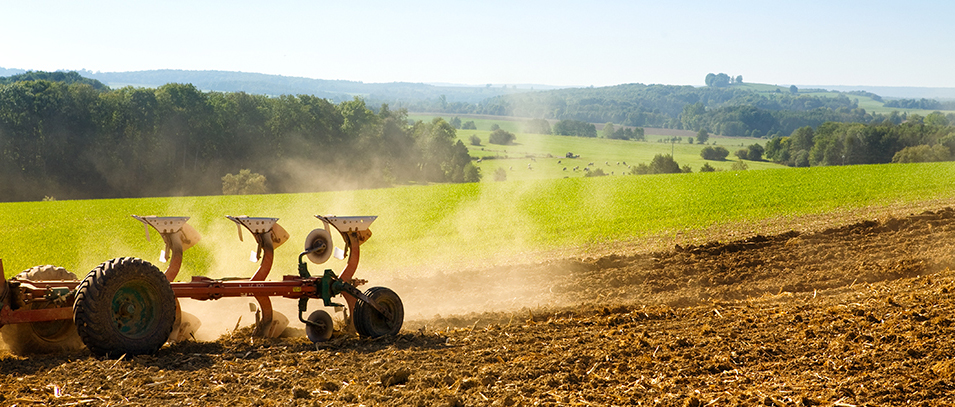 Farm Management